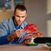 LEGO® Botanicals - Vöröslevelű japán juhar bonsai
