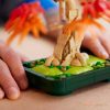 LEGO® Botanicals - Vöröslevelű japán juhar bonsai