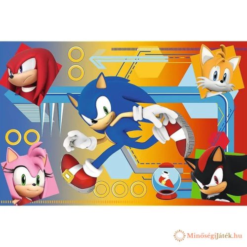 Sonic a sundiszno puzzle
