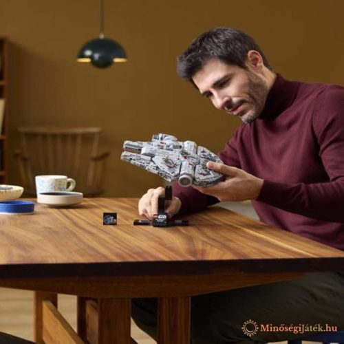 LEGO® Star Wars TM Millennium Falcon™