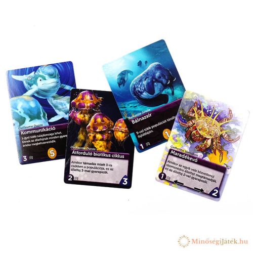  Óceán - A mélység evolúciója