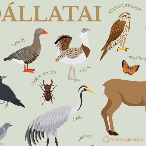 Magyarország vadállatai – Gyerekszoba poszter – 320x456 mm