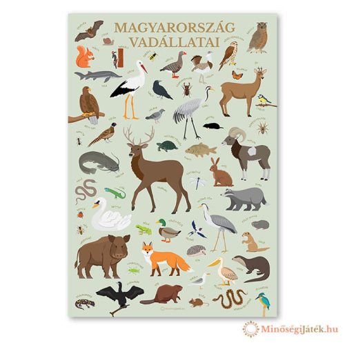 Magyarország vadállatai – Gyerekszoba poszter – 600x870 mm
