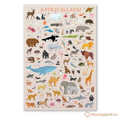 A Föld vadállatai – Gyerekszoba poszter, kétnyelvű – 320x456 mm
