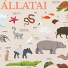 A Föld vadállatai – Gyerekszoba poszter, kétnyelvű  – 600x870 mm